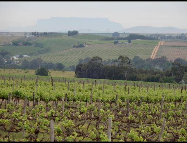 FARM FOR SALE IN WELLINGTON